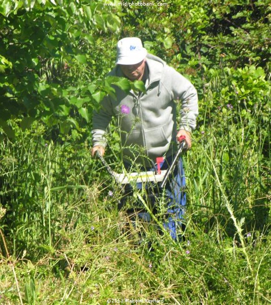 Living in France - The Advantages !