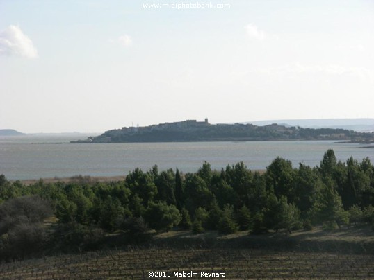 Etang de Bages, just south of Narbonne