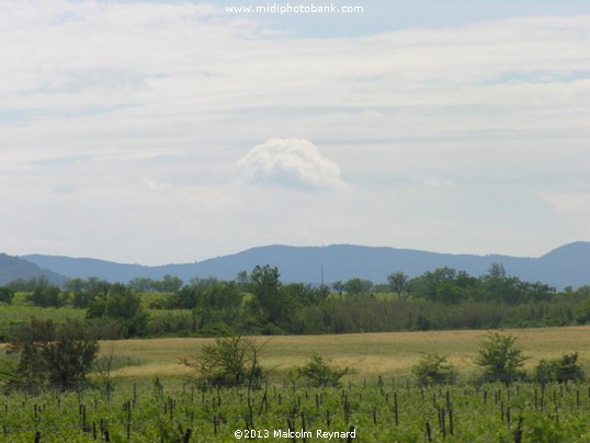 Thézan-des-Corbières - first sight of the Corbières Hills