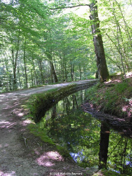 Montagne Noir - a Walk in the Woods