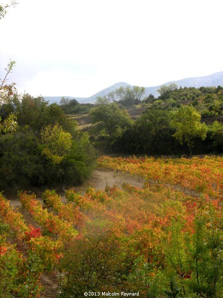Autumn Colours in the Corbières