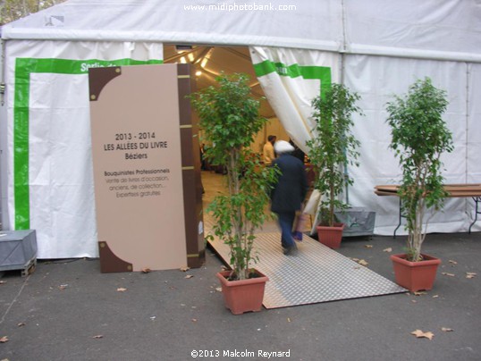 Les Allées du Livres - Book Fair