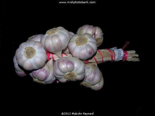 Lautrec - but not Toulouse - Ail rose