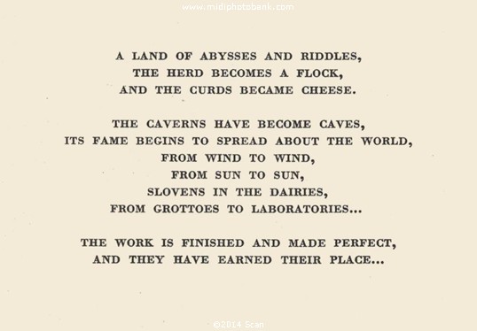 The Roquefort  Adventure 