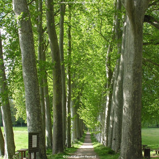 Canal du Midi. - the "Seuil de Naurouze"