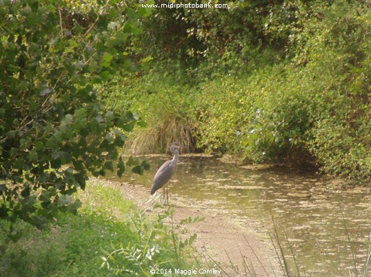 Durban-Corbières  Southern France