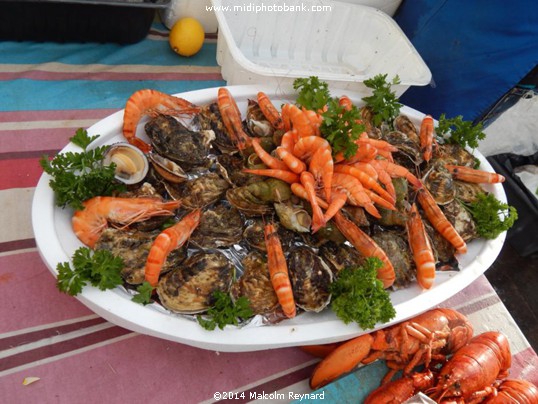  "Festive" Season 2014