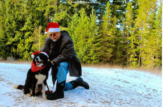 "Festive" Season 2014"