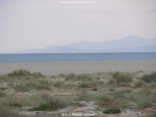A January day on the Beach