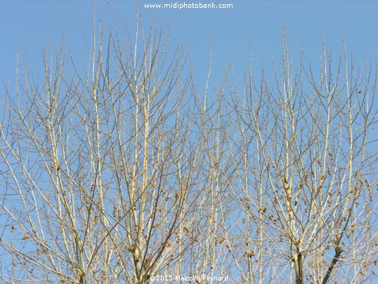 The Béziers Blue Sky