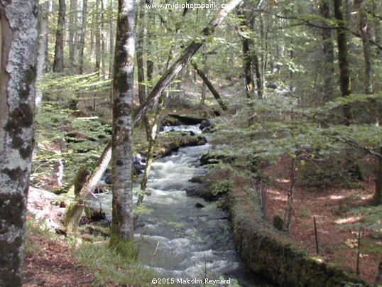 The Source of the Midi Canal
