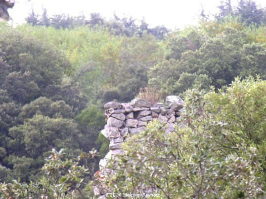 Montagne Noire Mystery Tower