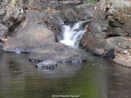 Montagne Noire Mystery Tower