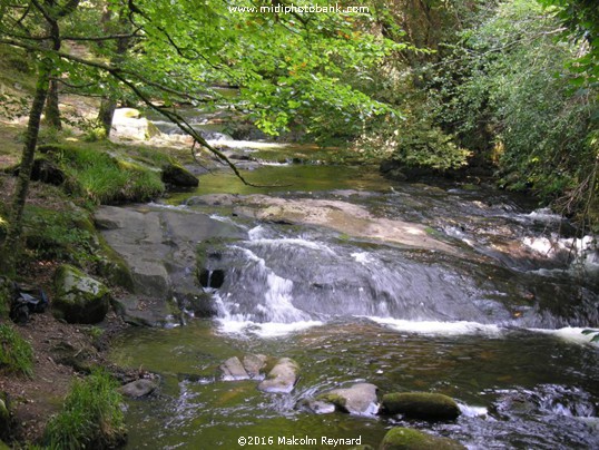 River Alzau in the Montaigne Noir, north of Carcassonne