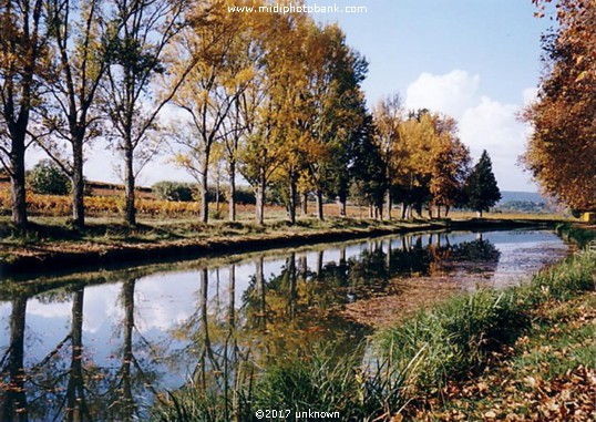 Midwinter on the Canal du Midi