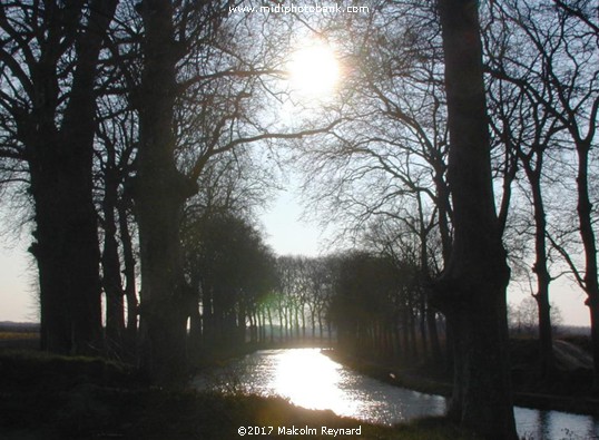 Midwinter on the Canal du Midi