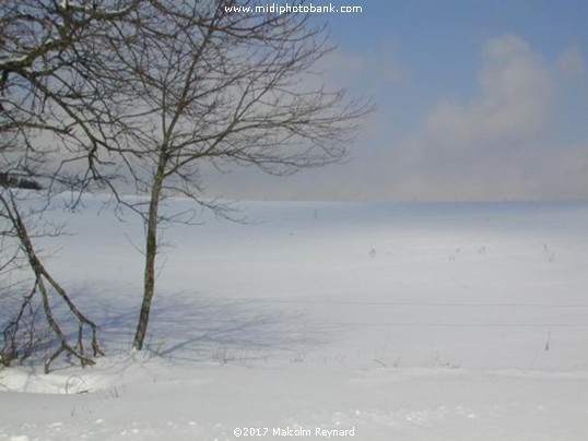 Montagne Noir - Aude