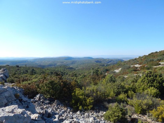 The Corbières Mountains in the Aude
