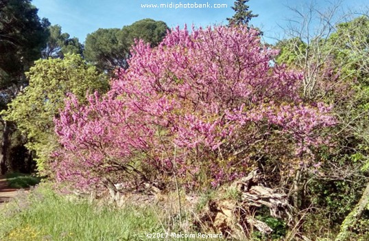 Spring has Sprung ......