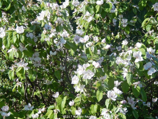 Spring has Sprung ......