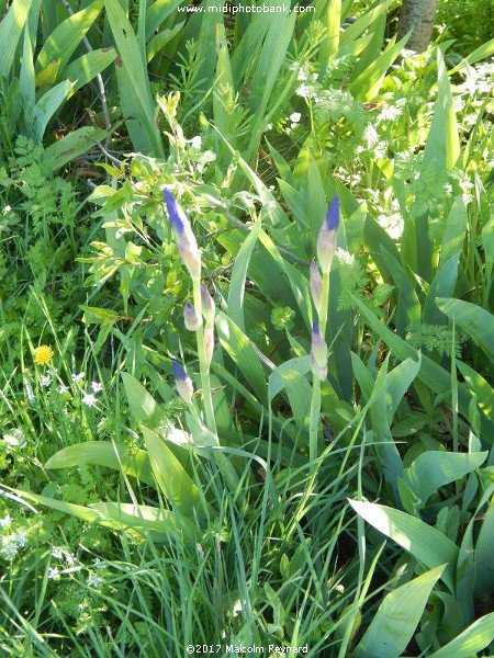 Spring has Sprung ......