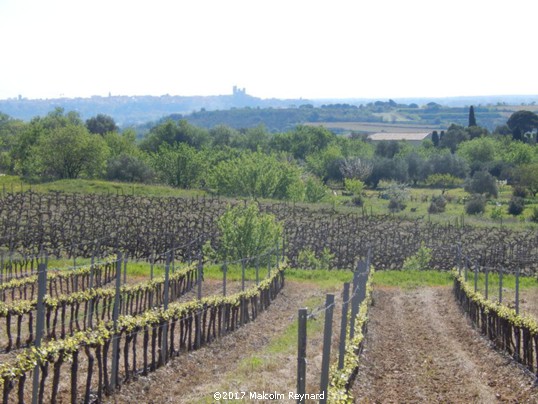 The First of the Summer Wine