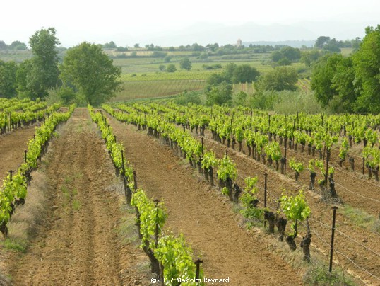 The Village of Corneilhan