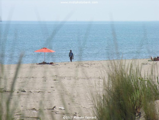 "Sumer Is Icumen In"