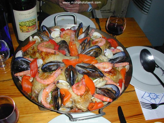 Summer in the South of France