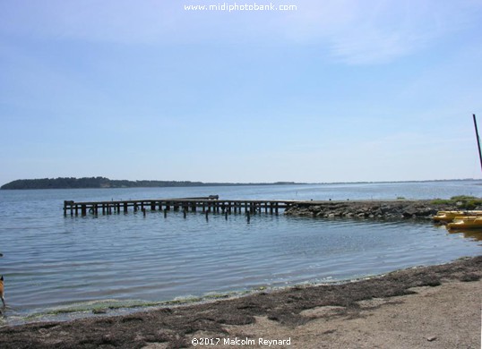 Aude - The Etang de Bages