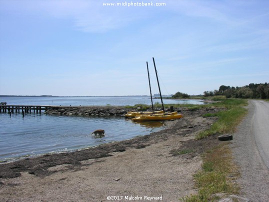 Aude - The Etang de Bages