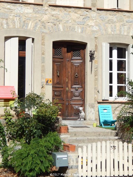 Corbières Guard Dog