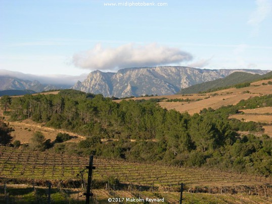 Mont Caroux - Midwinter