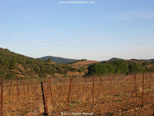 Haute-Languedoc Regional Park - Midwinter