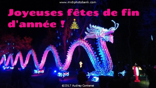 Gaillac - New Year 2018