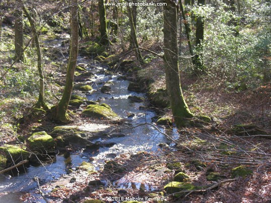 Canal du Midi -  Midwinter
