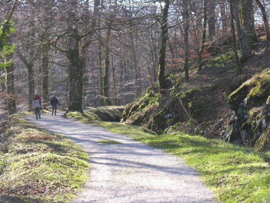Canal du Midi -  Midwinter