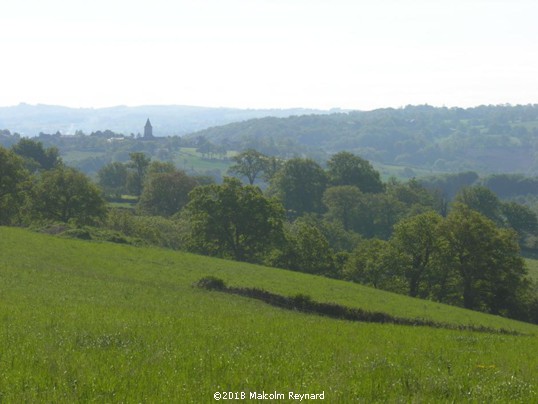Michel Dintrich - French Guitarist