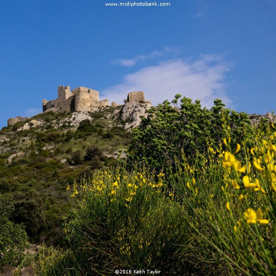 Château de Peyrepertuse