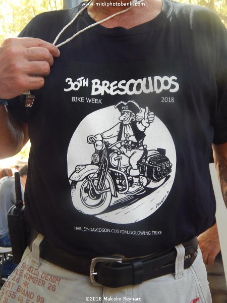 The Last of the Summer ..........