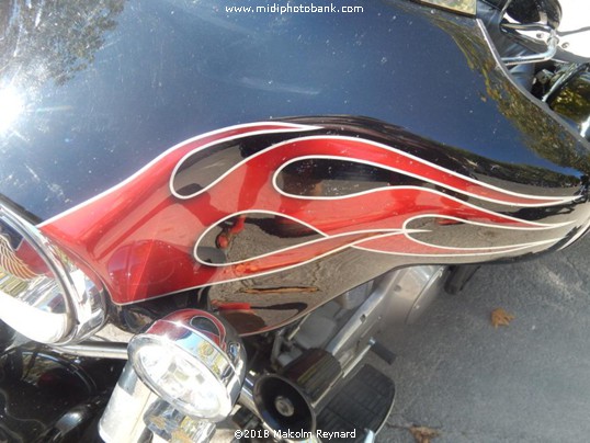 The Last of the Summer ..........