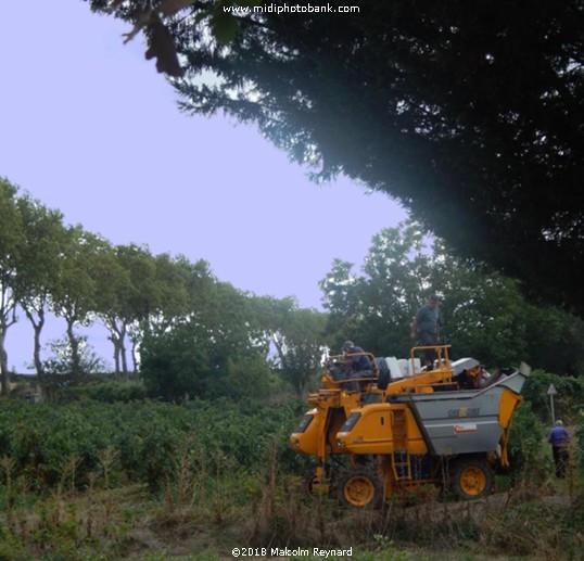 Vendanges - 2018