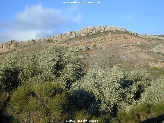 Corbières Mountains