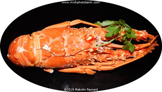 Seasons Greetings .........