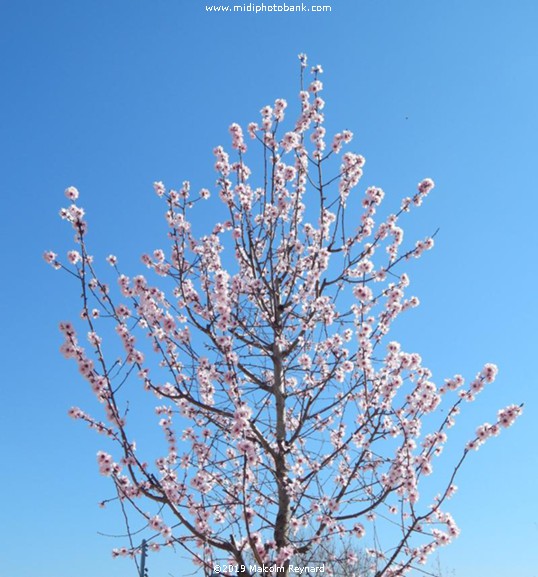 Spring has Sprung ........