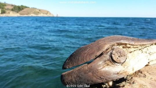 On the Beach near Collioure ........