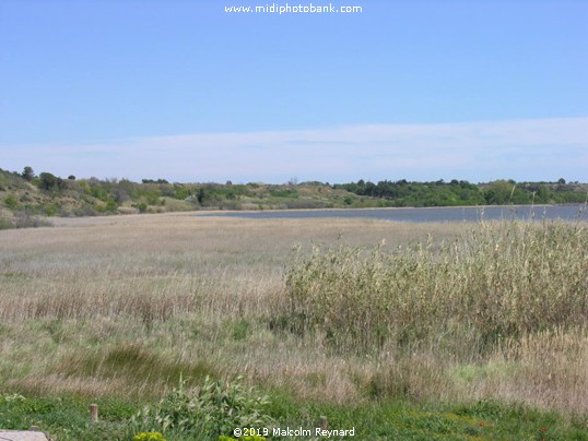 The "Temple of Venus" & l'Etang du Vendres