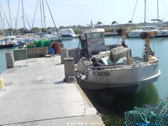 "Port du Chichoulet" - Vendres