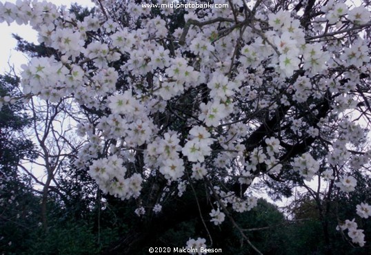 Now to happier times ! ........