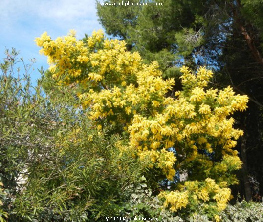 Now to happier times ! ........